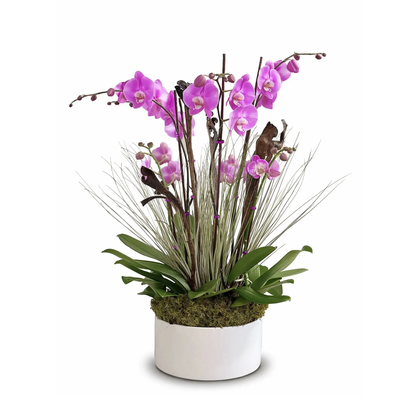 chrliz 1 scaled Charliz: Pink Orchid Arrangement with Air Plants and Decorative Branches