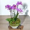 6flowermeadow-2-