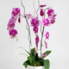 flowers deliveru boca raton florida