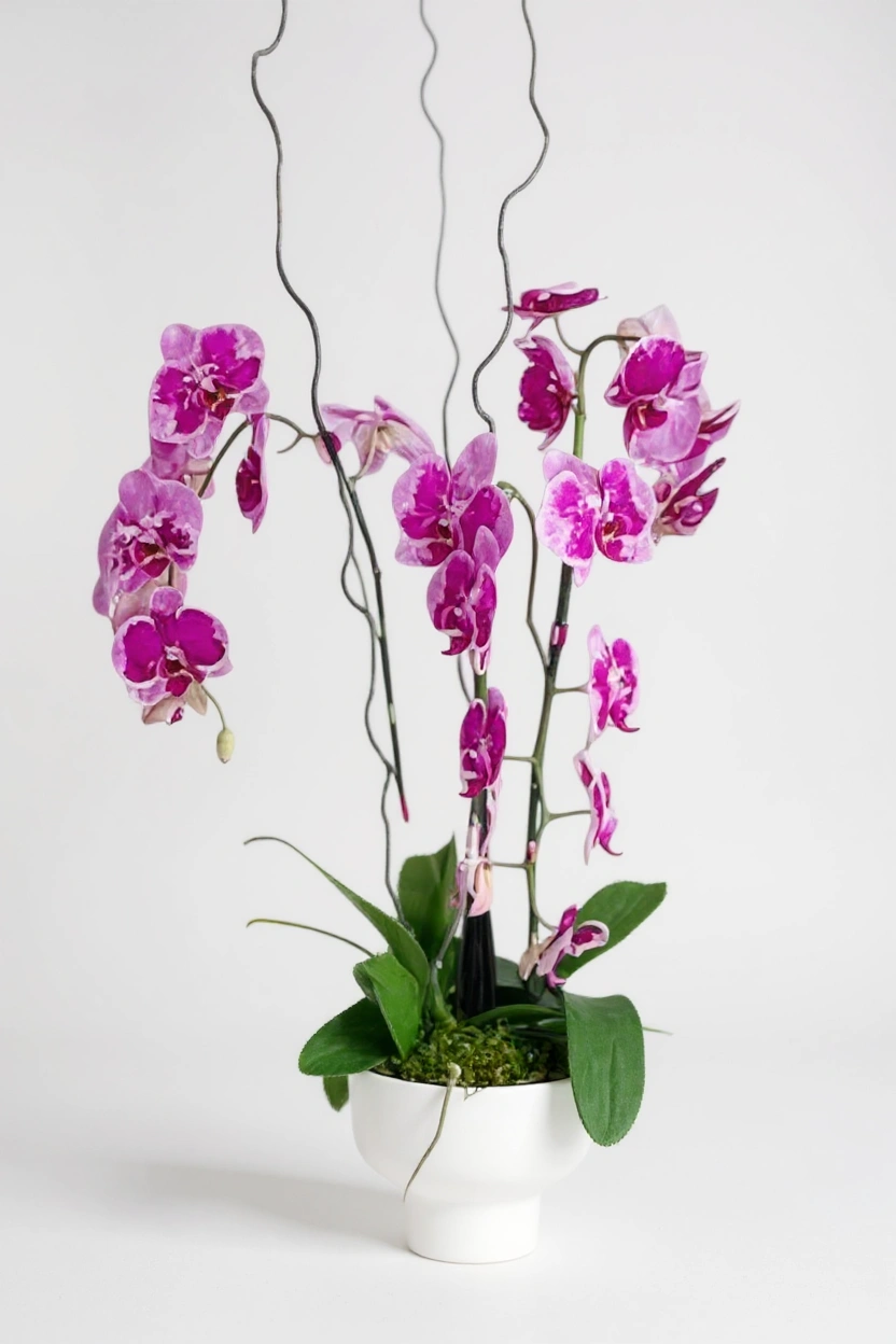 flowers deliveru boca raton florida