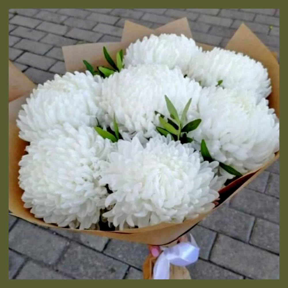Chrysanthemums 3 Flower Messages: The Sentiments Behind Each Bouquet