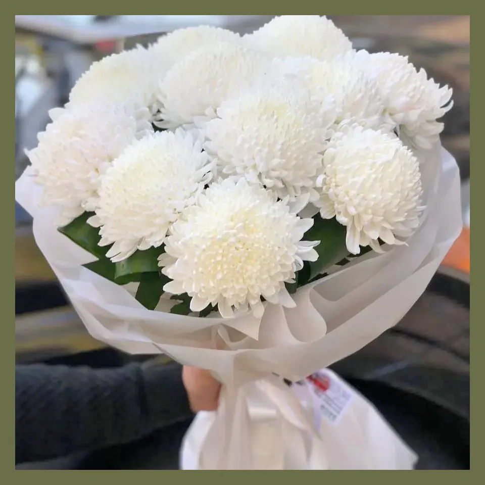 Chrysanthemums Flower Messages: The Sentiments Behind Each Bouquet