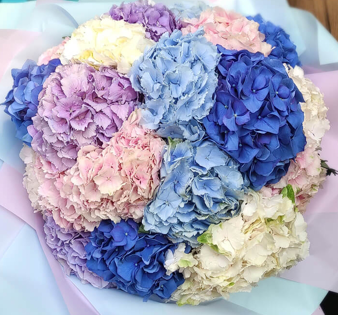 Hydrangeas3 The Top Flowers to Buy in Different States of the US