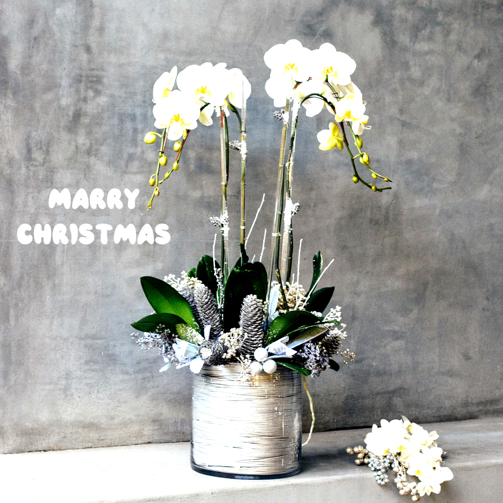 Winter Wonderland Orchid Centerpiece Ideas for a Christmas Display