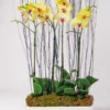 yellow orchids