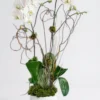 zoe flowers white