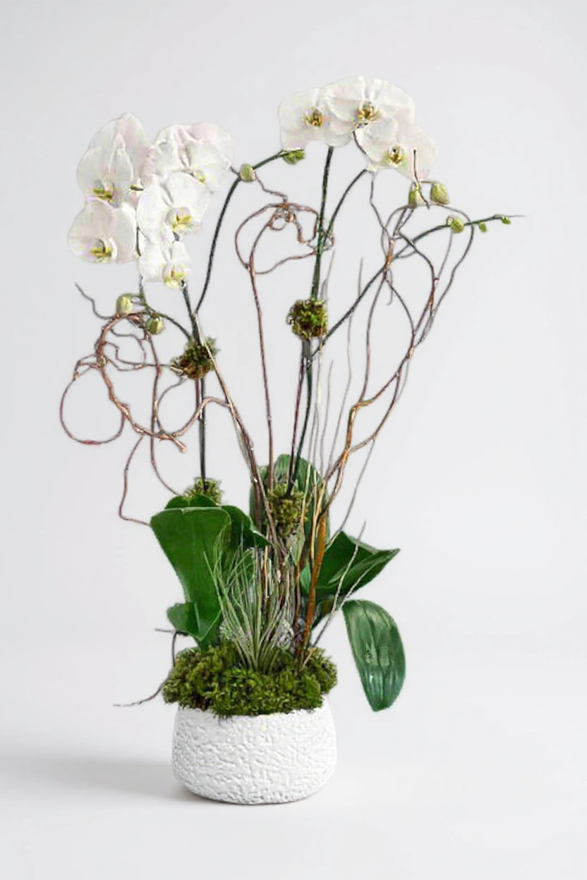zoe flowers white