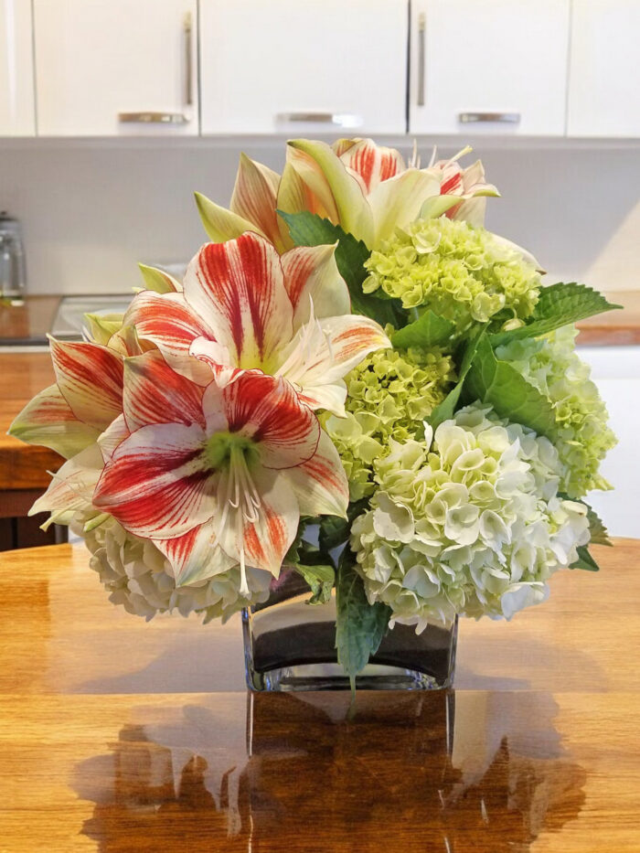 Amaryllis_and_Hydrangea2