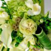 Freesia
