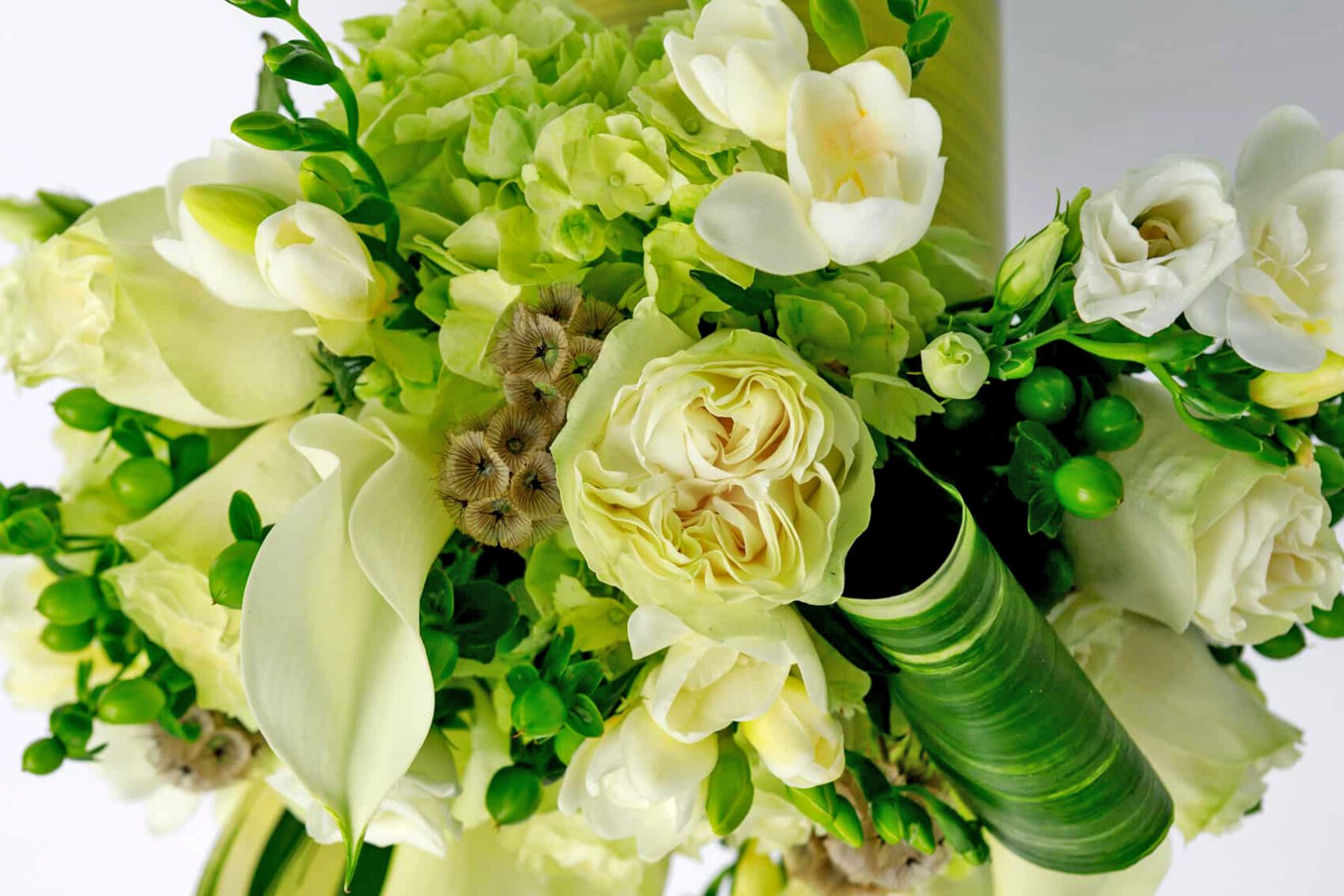 Freesia2 Green Floral Arrangement: Green Hydrangeas, Freesia, White Roses, and Calla Lilies