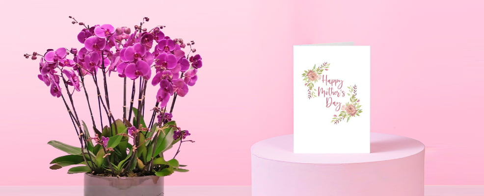 Unique Mothers Day Floral Ideas in 2024