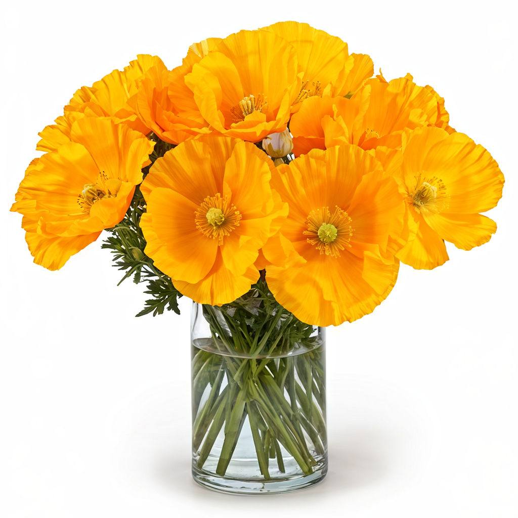 california poppy arrangement The Top Flowers to Buy in Different States of the US
