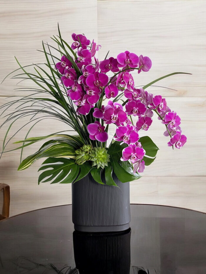 bright-delight-orchids florist boca raton-0