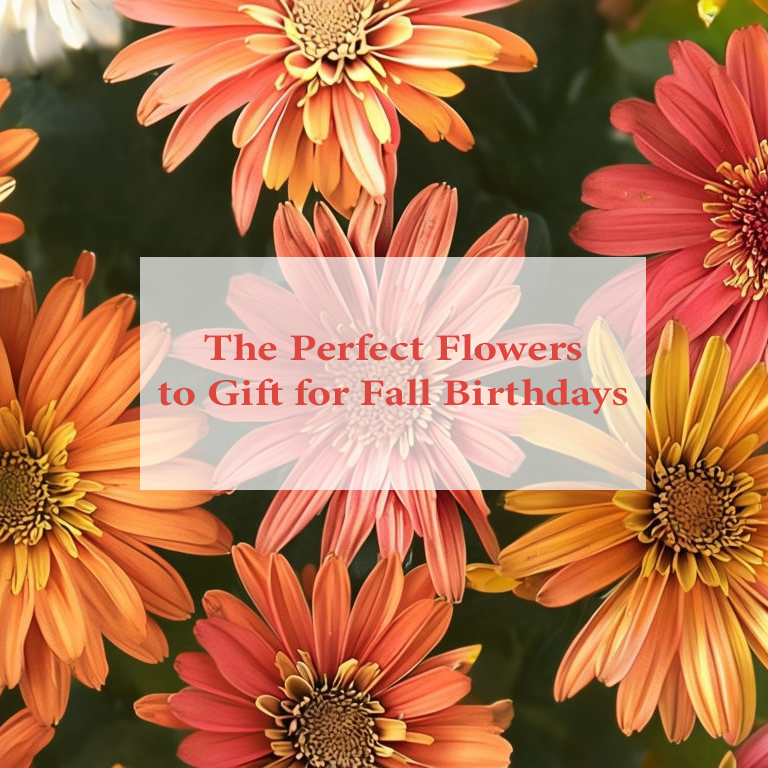 The Perfect Flowers to Gift for Fall Birthdays