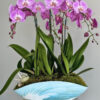 vivaflowers