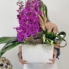 Botanical Beauty