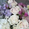 Teddy Bear in Roses: