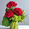 50 roses