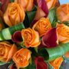 Orange vibe