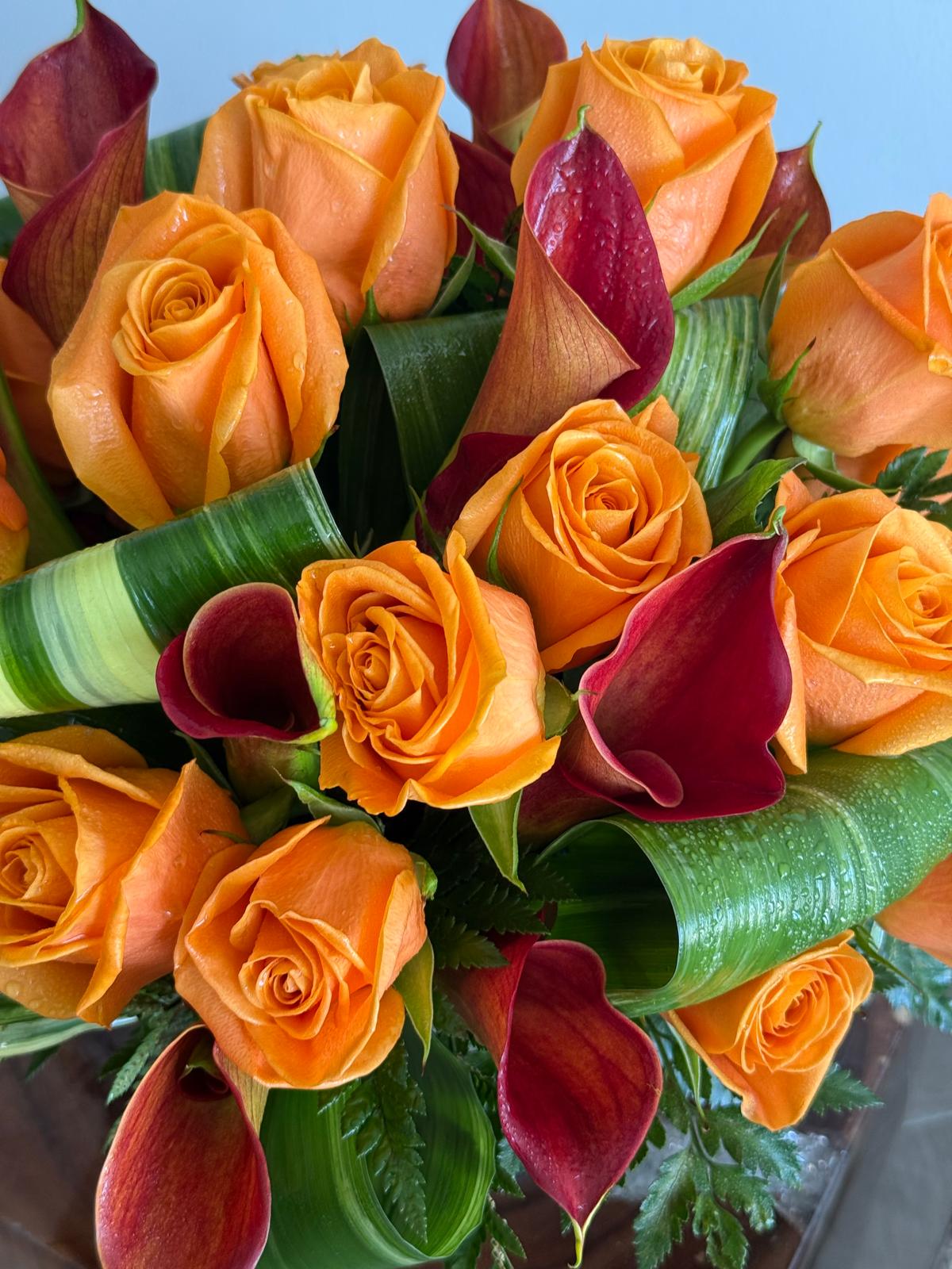 Orange vibe