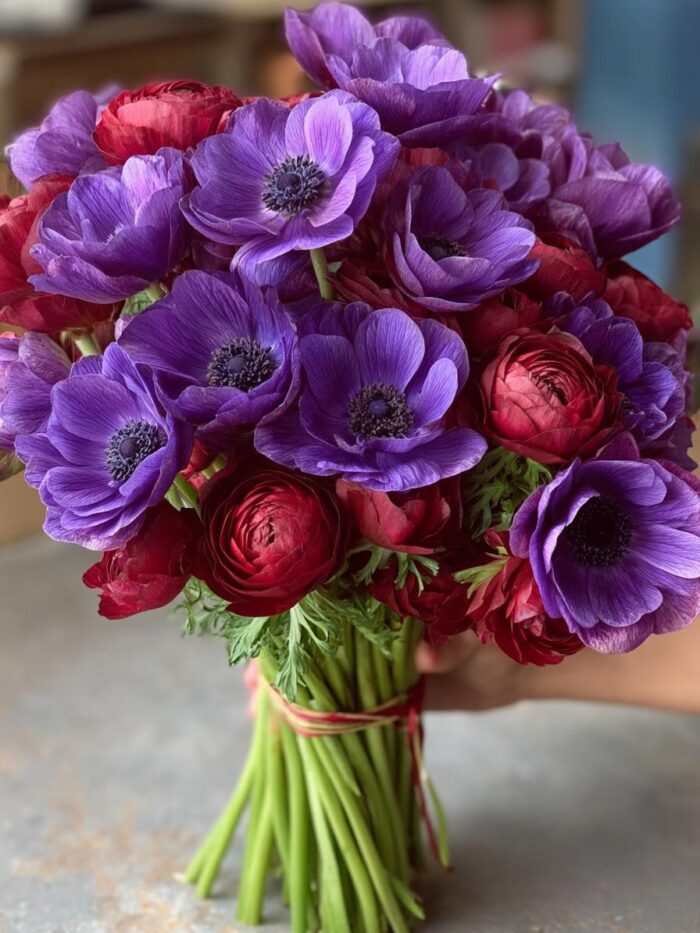 Velvet Passion