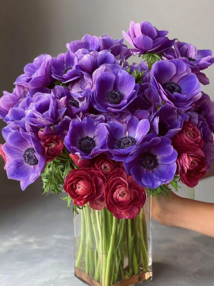 Purple Majesty