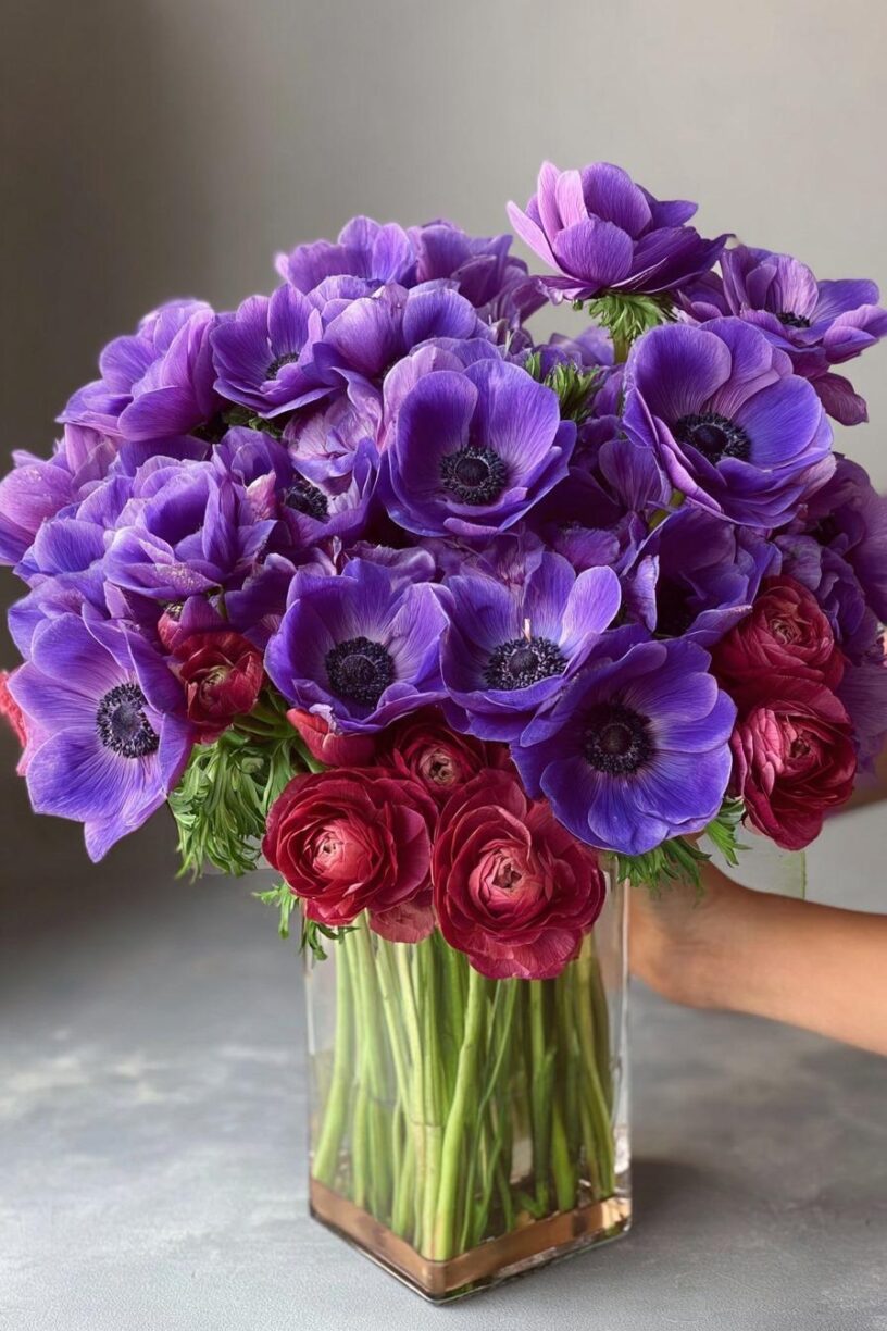 Purple Majesty