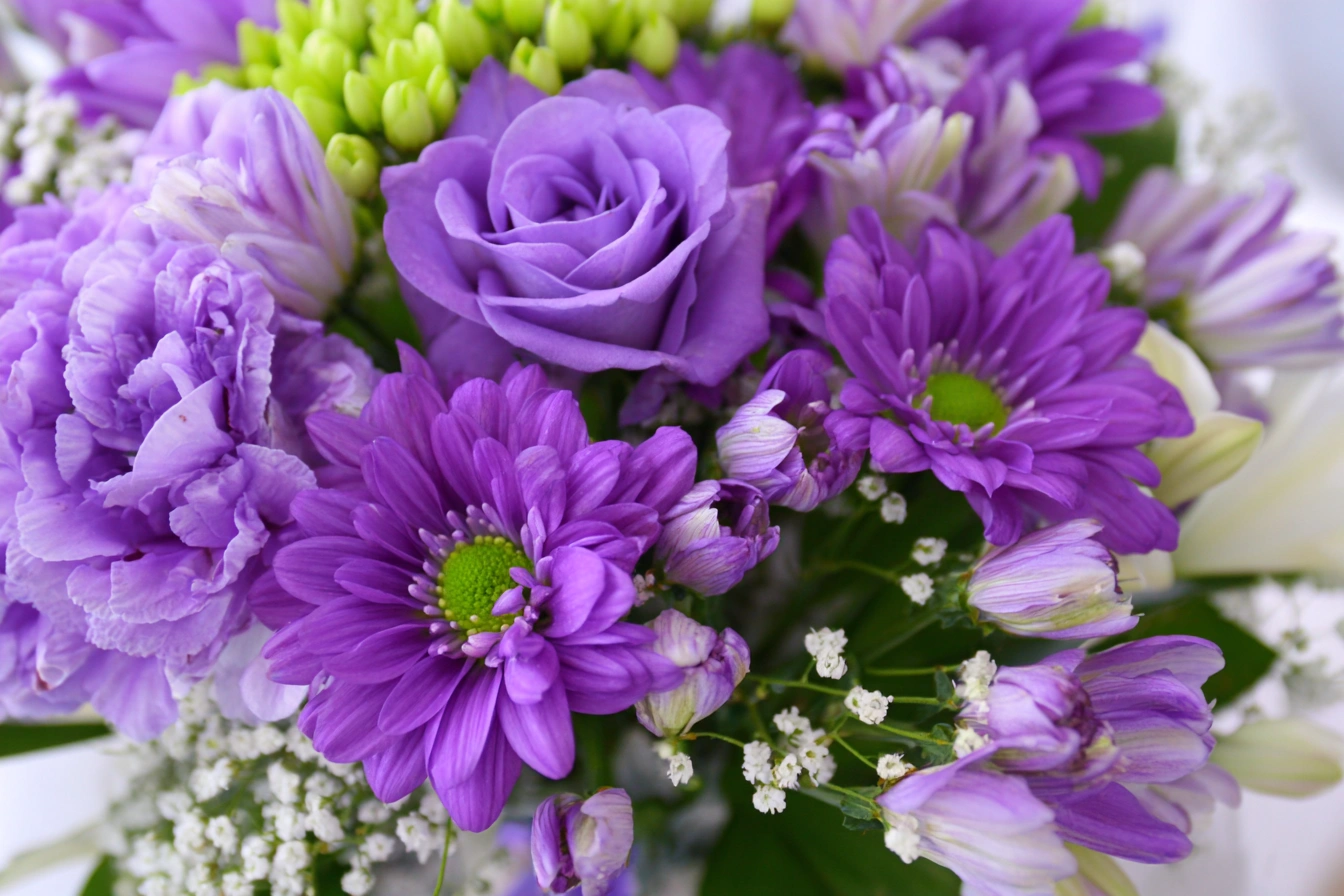 vivaflowers Purple Flowers: