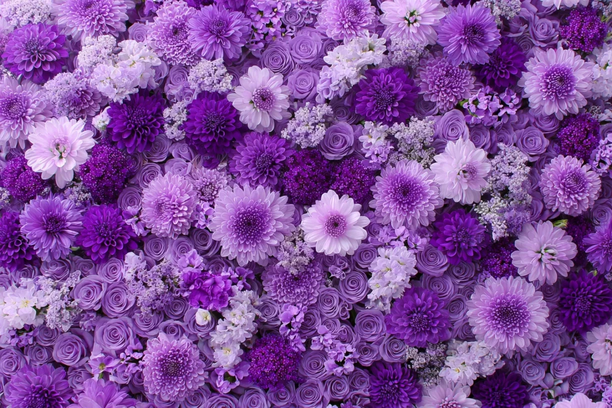 Purple Flowers