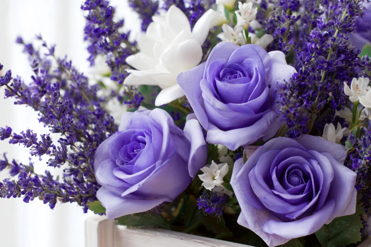 Purple Flowers