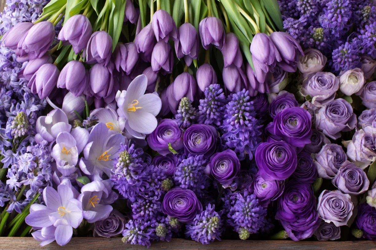 Purple Flowers