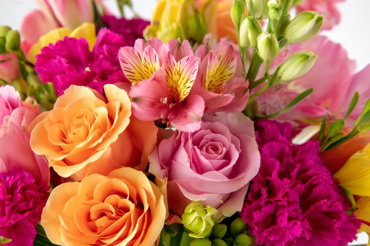 he Best Flowers to Send for Get Well Soon in Florida