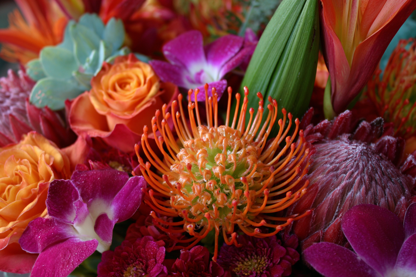 Thanksgiving with Beautiful Flowers