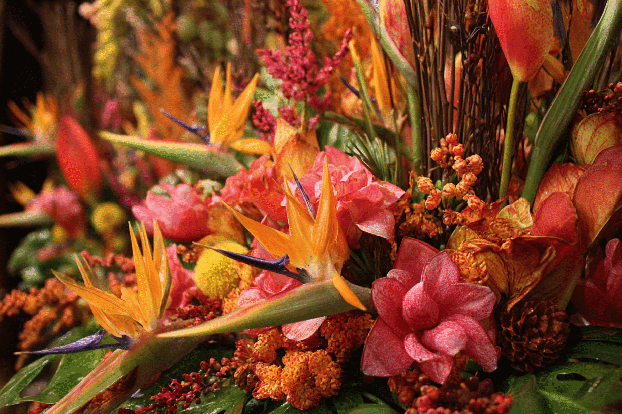 Thanksgiving with Beautiful Flowers Florida