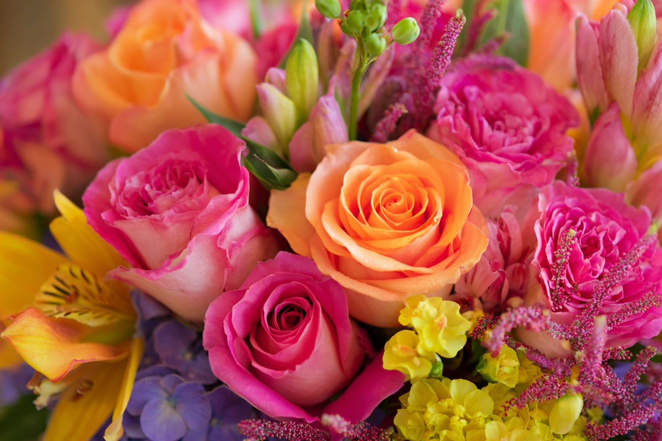 flowers_for_get_well_soon__best_flower_to_gift1