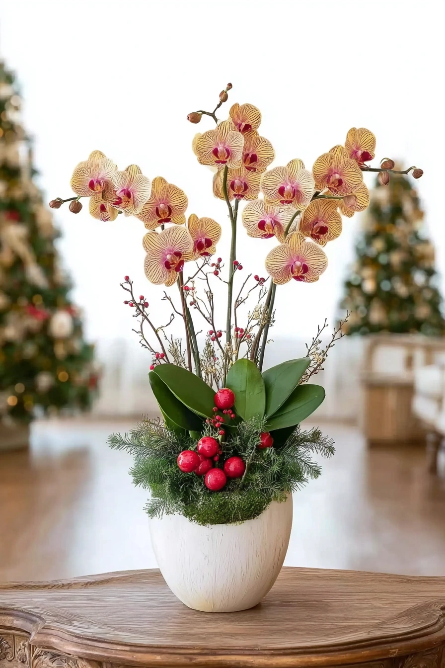 Warmth & Cheer: Peach Orchid Holiday Planter