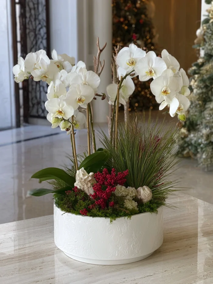 Winter's Embrace: White Orchid & Berry Arrangement