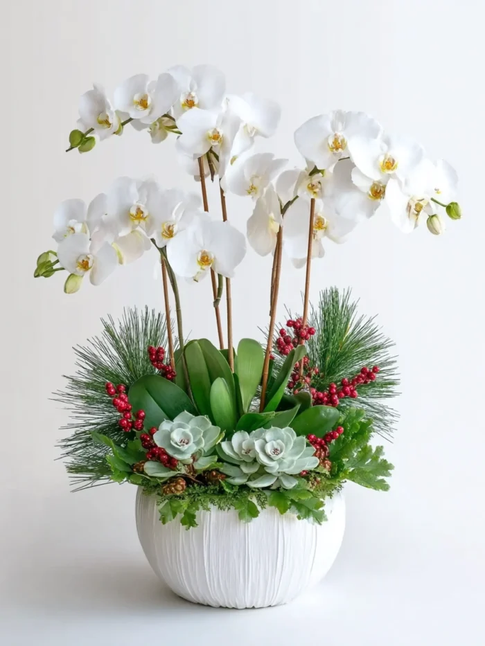 Festive Succulent & Orchid Planter
