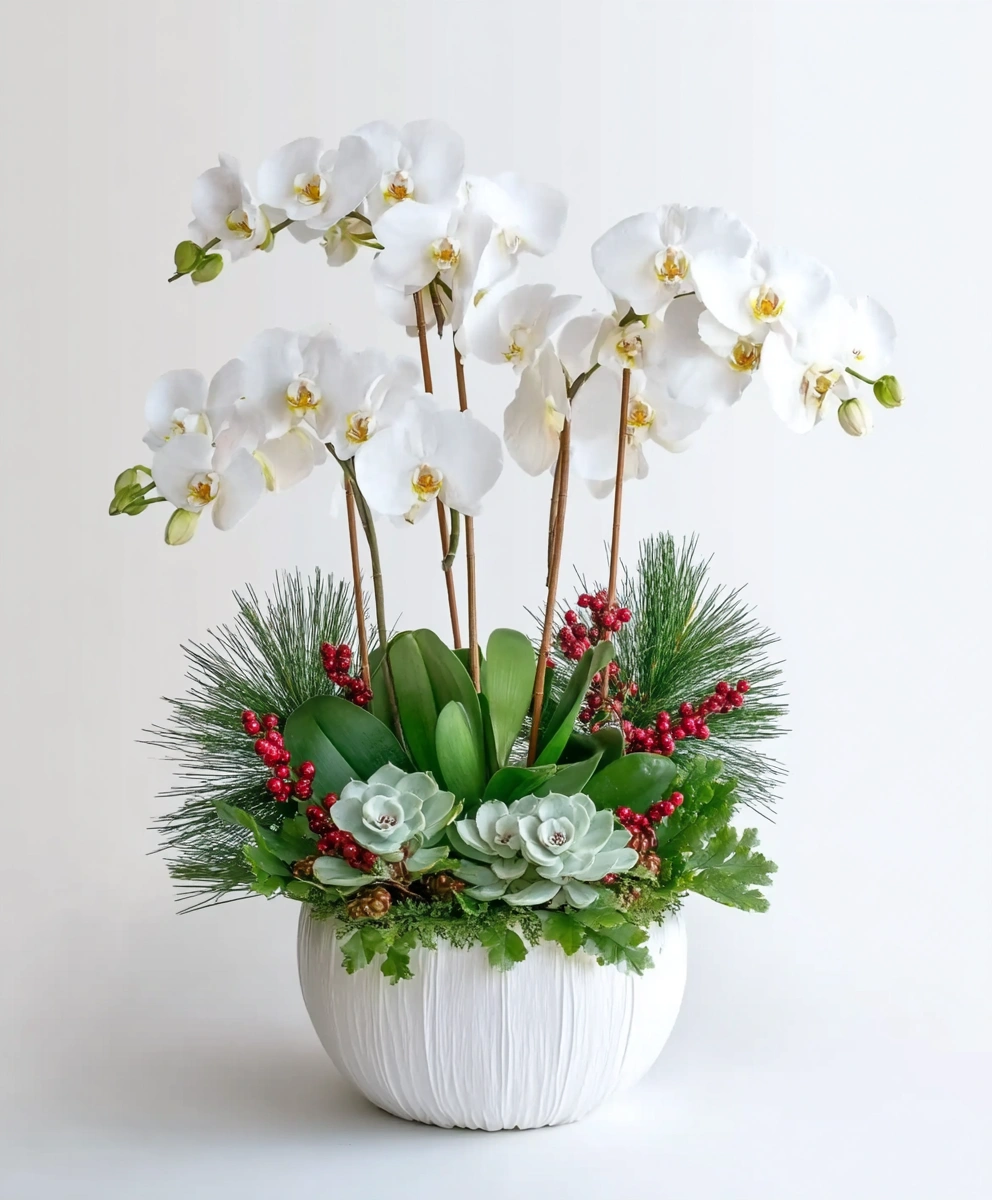 Festive Succulent & Orchid Planter