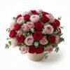 Grand Radiance Pink and Red Roses