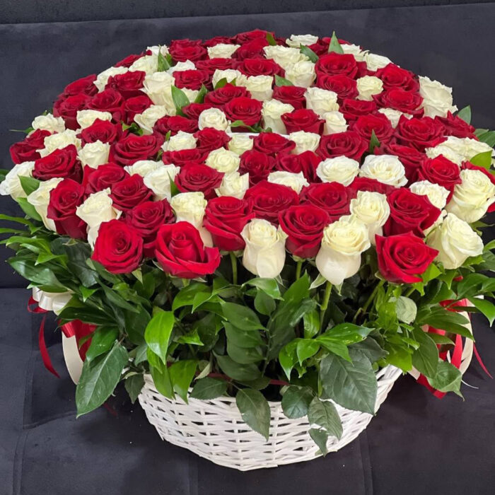Two hundred one red and white roses basket.