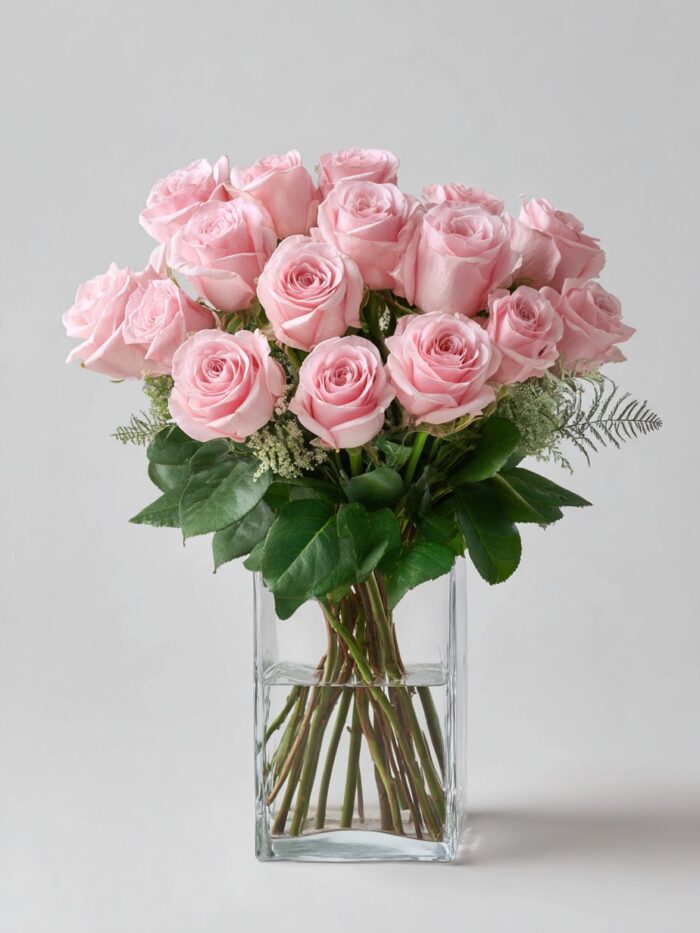 20 Premium Roses: Soft Pink