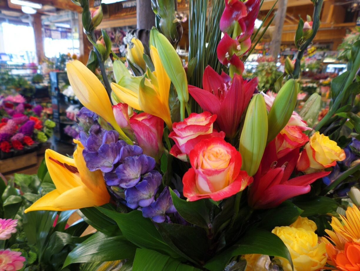 Popular Spring Flowers: A Colorful Palette