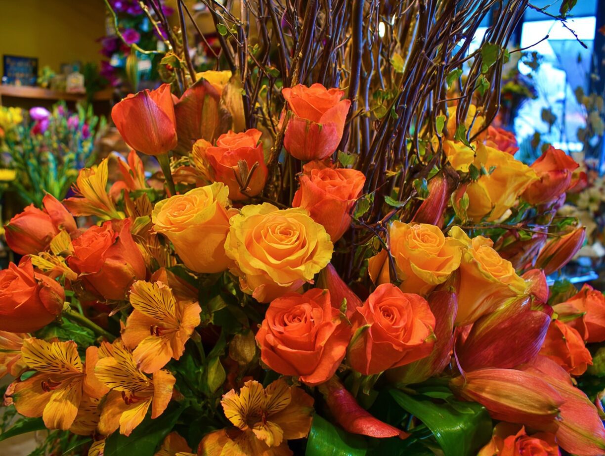 Spring Bloom: A Guide to Colors and Flowers for Beautiful Arrangements