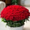 Two hundred one red roses basket.
