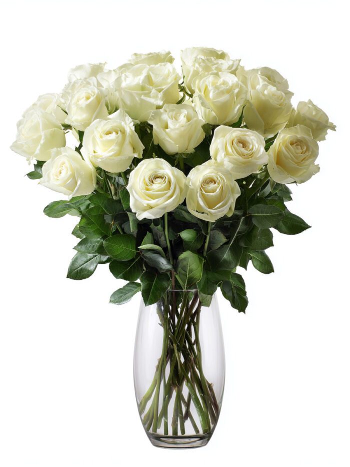 Two Dozen White Rose $170.00