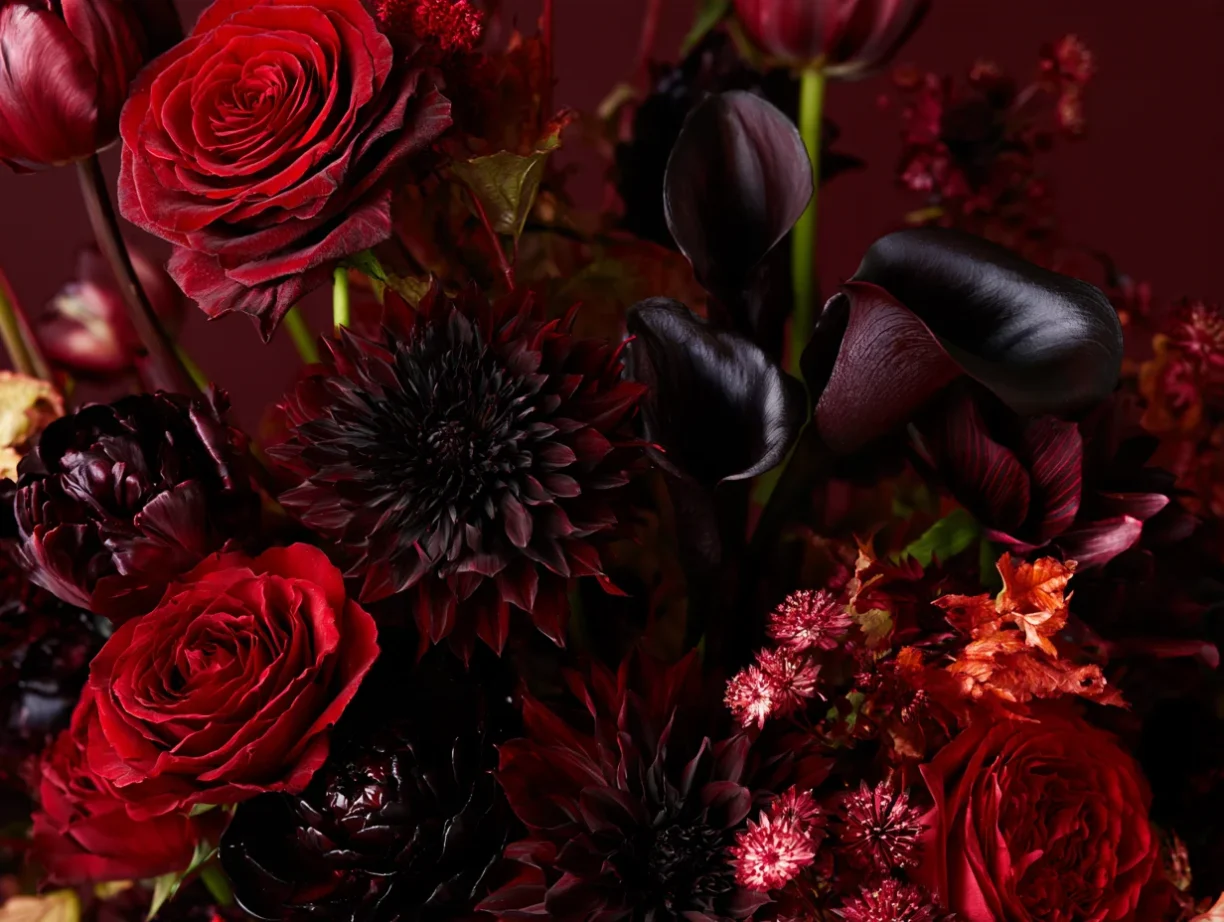 3. The Stars of the Show: Key Botanicals
