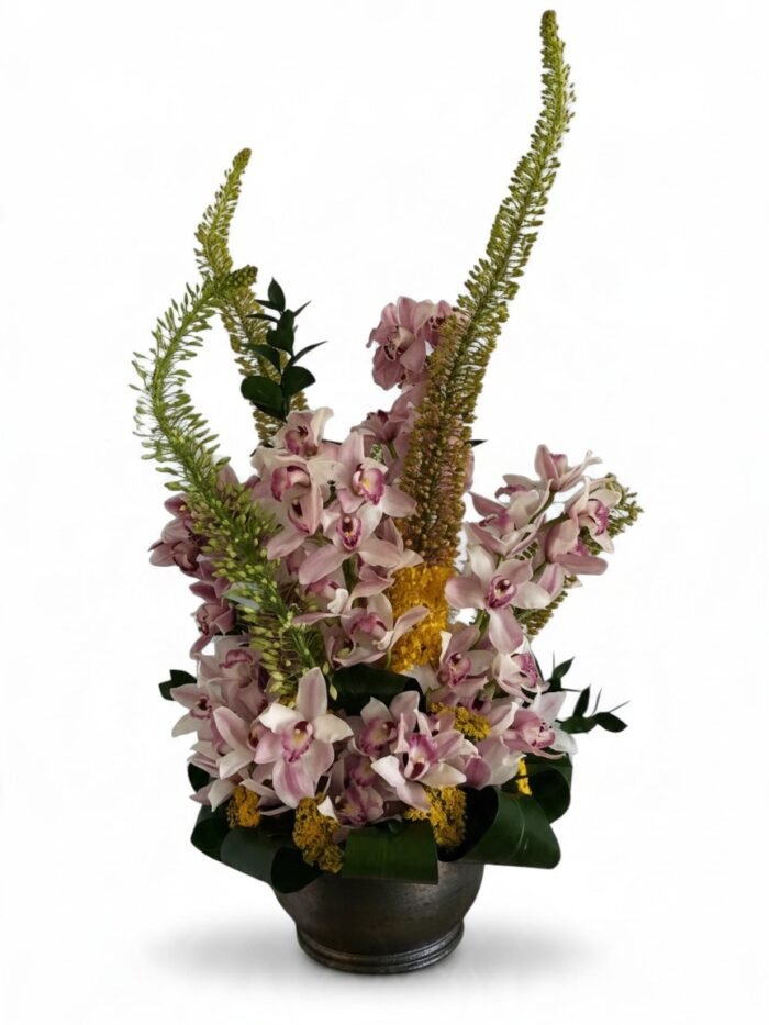 Orchid Garden