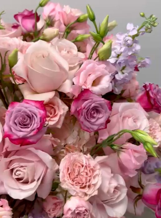 Enchanted : Blush Garden - Image 2